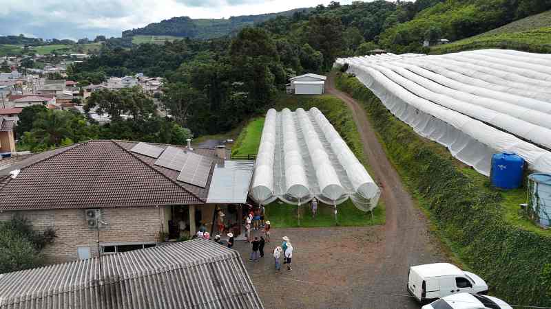 Vinícola Giovanni Felippo em Arroio Trinta